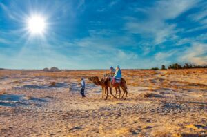 Morning Desert Safari in Dubai 