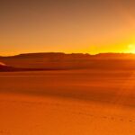 Discover the Exciting Sunrise Desert Safari