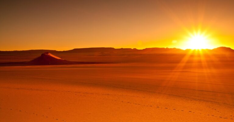 Discover the Exciting Sunrise Desert Safari
